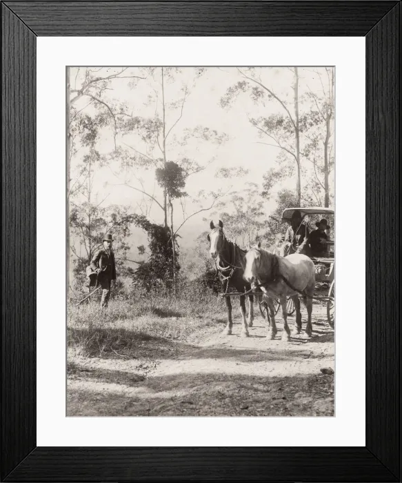 Framed Print : Horse and carriage, country road, Queensland, Australia Framed Print : Horse and carriage, country road, Queensland, Australia