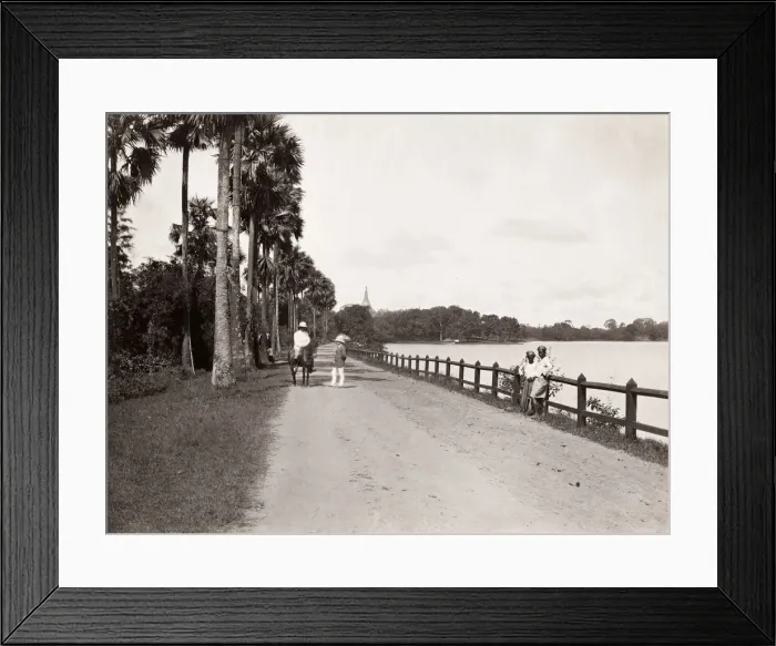 Framed Print : Lake view, Rangoon, Yangon, Burma, Myanmar Framed Print : Lake view, Rangoon, Yangon, Burma, Myanmar