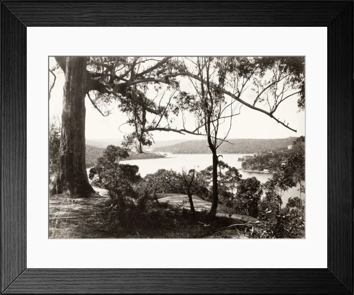 Framed Print : The Middle Harbour, Sydney, Australia Framed Print : The Middle Harbour, Sydney, Australia