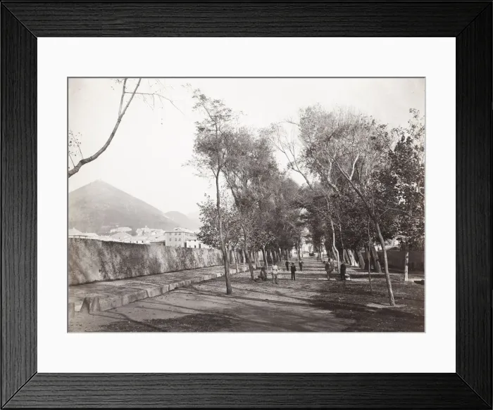 Framed Print : View at Sestri Ponente, Genoa, Italy Framed Print : View at Sestri Ponente, Genoa, Italy