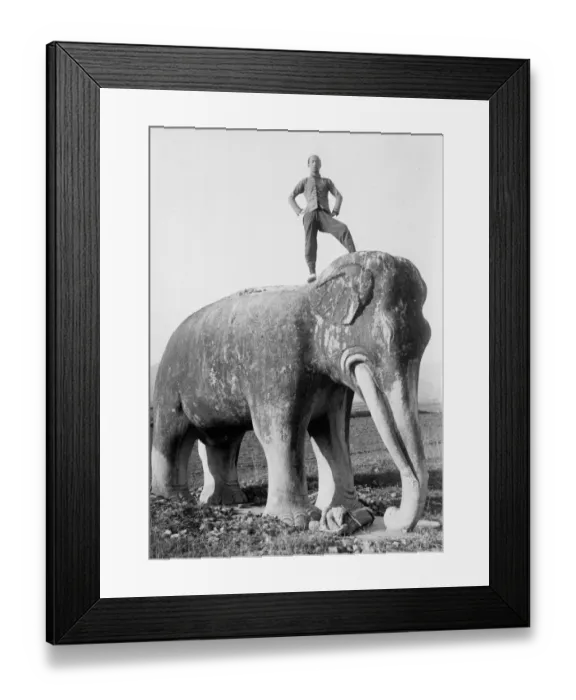 Framed Print : Man on top of stone elephant, Ming tombs, China, c. 1910 Framed Print : Man on top of stone elephant, Ming tombs, China, c. 1910