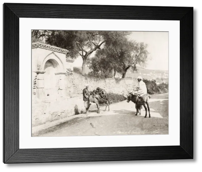 Framed Print : Chemin de la Fontaine Bleue, Algiers, Algeria Framed Print : Chemin de la Fontaine Bleue, Algiers, Algeria