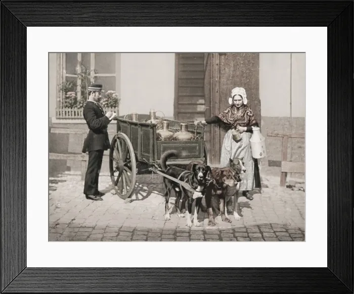 Framed Print : Milk maid and dog milk cart Belgium Framed Print : Milk maid and dog milk cart Belgium