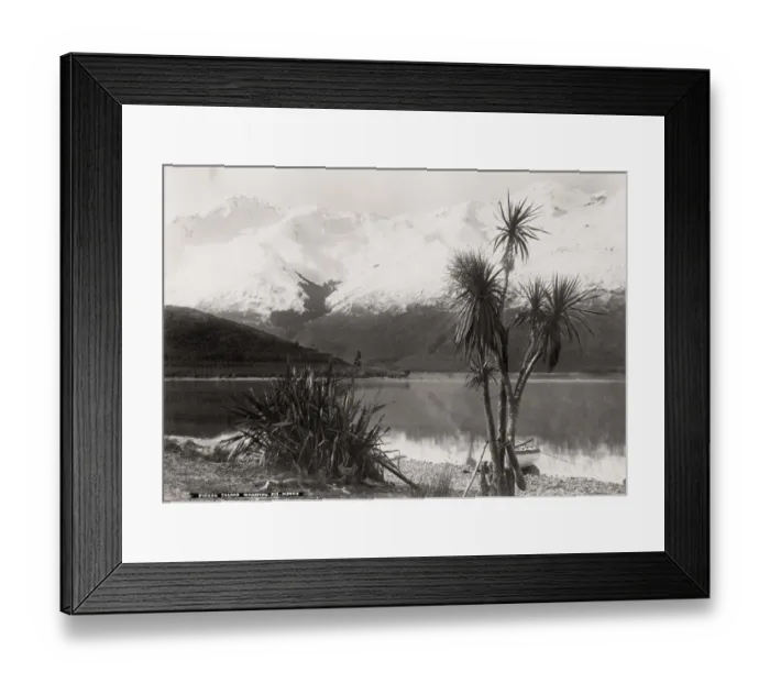 Framed Print : New Zealand - Pigeon Island, Wakatipu Framed Print : New Zealand - Pigeon Island, Wakatipu