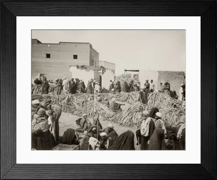 Framed Print : Street market, Egypt, sellng sugar cane? Framed Print : Street market, Egypt, sellng sugar cane?