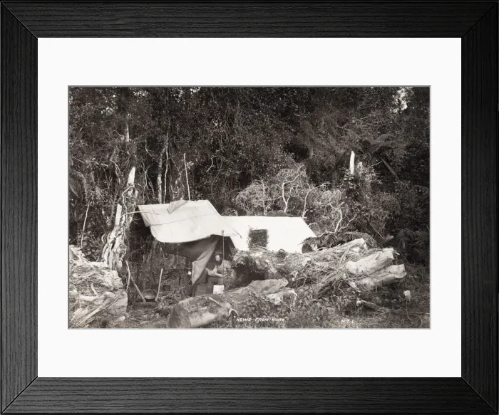 Framed Print : Man in a bush tent, likely New Zealand Framed Print : Man in a bush tent, likely New Zealand