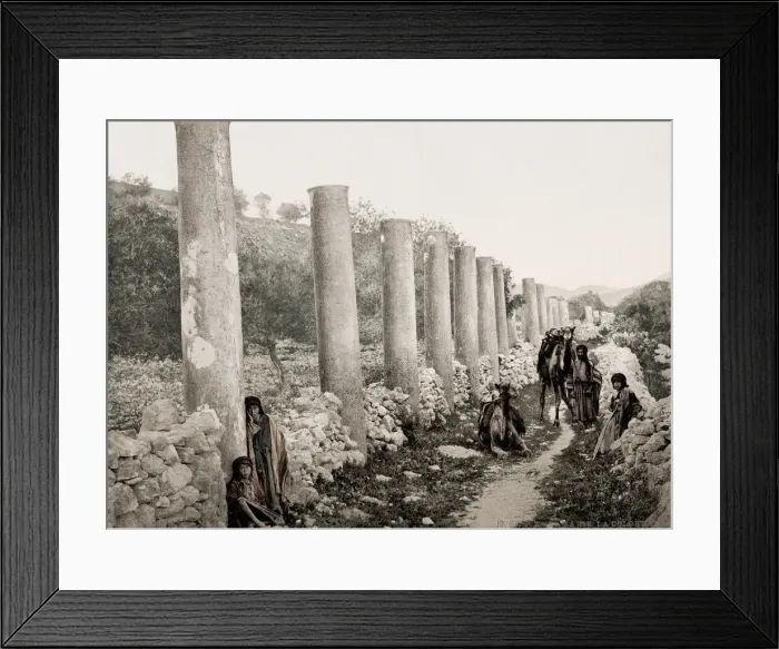 Framed Print : The Colonnade, Samaria, Holy Land, Palestine, modern Israel Framed Print : The Colonnade, Samaria, Holy Land, Palestine, modern Israel