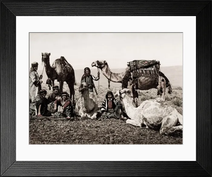 Framed Print : Egypt, halt of a camel train in the desert