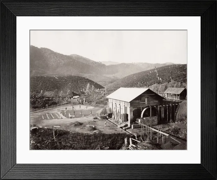Framed Print : Drying tea on a tea plantation, India or Ceylon, Sri Lanka Framed Print : Drying tea on a tea plantation, India or Ceylon, Sri Lanka