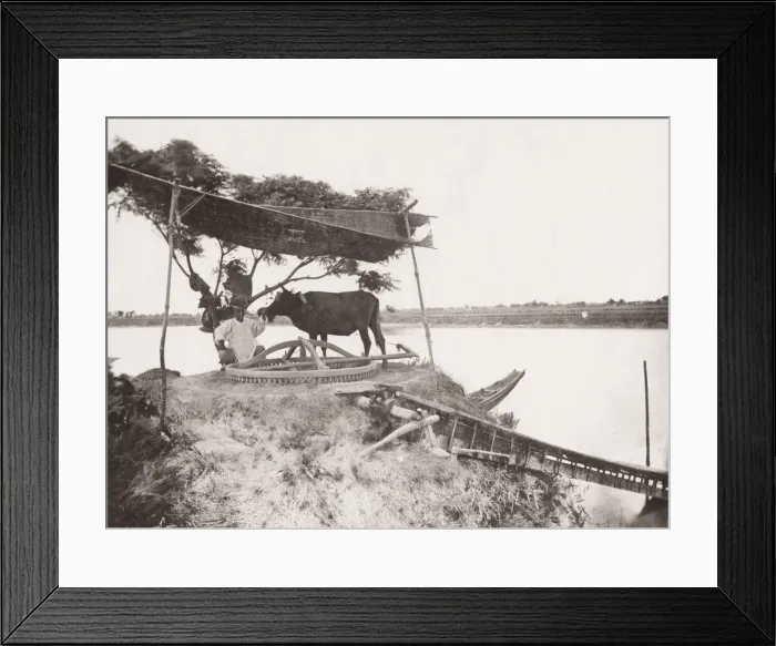 Framed Print : Sakkieh or ox driven water wheel used for irratagtion, Egypt Framed Print : Sakkieh or ox driven water wheel used for irratagtion, Egypt