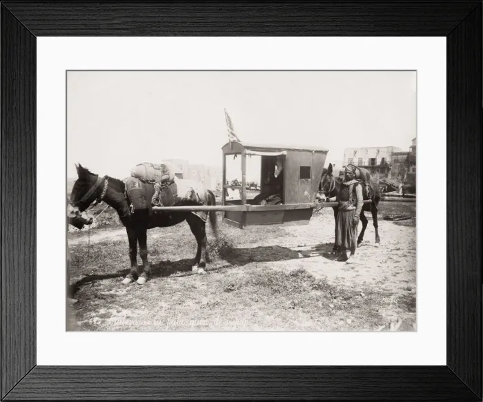 Framed Print : Mule drawn palanquin, sedan chair, carrying chair, Egypt Framed Print : Mule drawn palanquin, sedan chair, carrying chair, Egypt