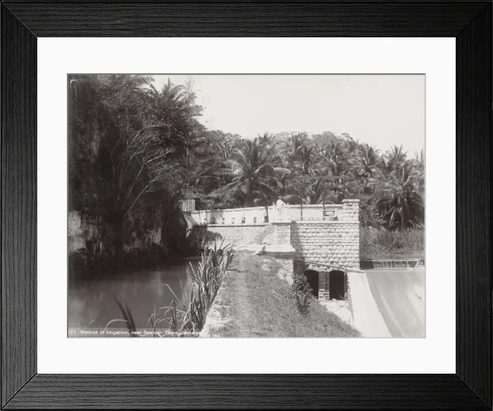 Framed Print : Agriculture, irrigation, Spanish town Jamaica Framed Print : Agriculture, irrigation, Spanish town Jamaica