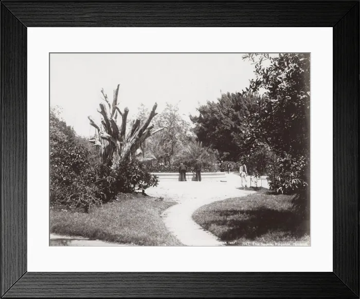 Framed Print : The Square, Kingston, Jamaica, West Indies Framed Print : The Square, Kingston, Jamaica, West Indies