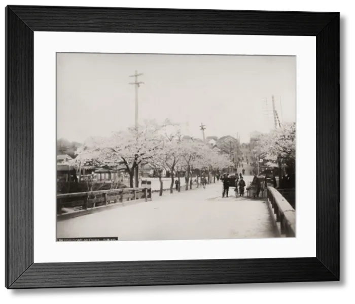 Framed Print : Street with cherry blossom, Japan Framed Print : Street with cherry blossom, Japan