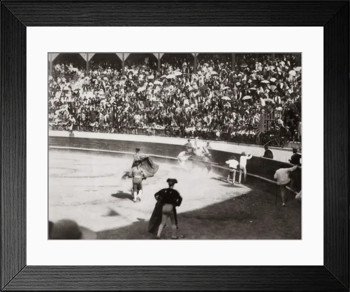Framed Print : Bullfighting, Spain, c. 1880s Framed Print : Bullfighting, Spain, c. 1880s