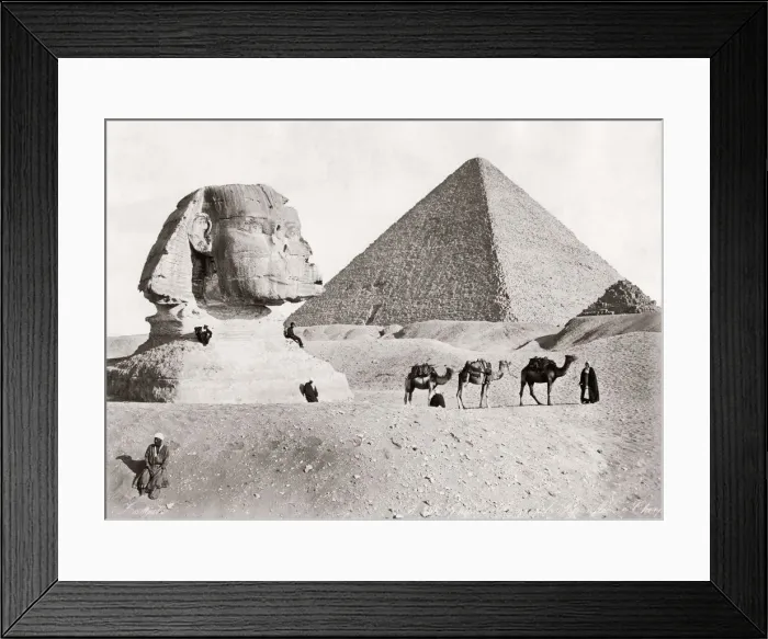 Framed Print : Sphinx, pyramid and camels, Egypt, c. 1890s Framed Print : Sphinx, pyramid and camels, Egypt, c. 1890s