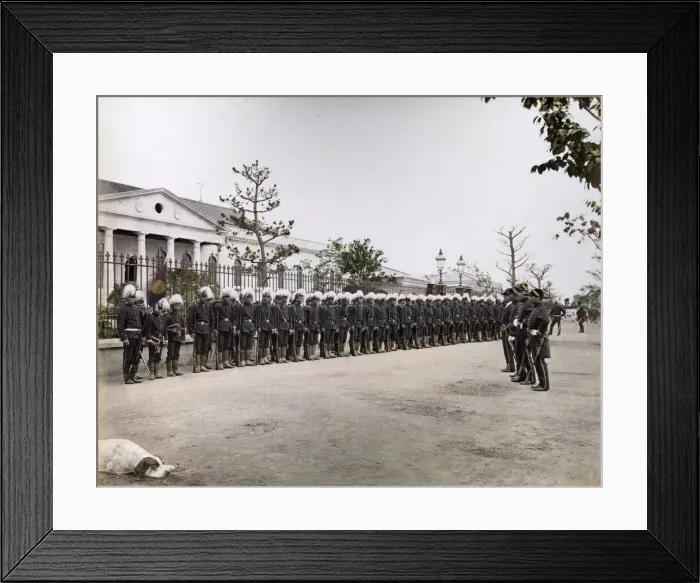 Framed Print : Soldiers at the Imperial Mint, Osaka, Japan, and dog Framed Print : Soldiers at the Imperial Mint, Osaka, Japan, and dog