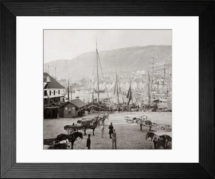 Framed Print : Harbour scene, horses and carts, Bergen Norway. c. 1890 Framed Print : Harbour scene, horses and carts, Bergen Norway. c. 1890