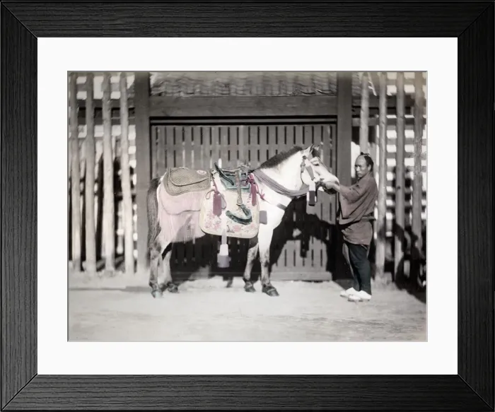 Framed Print : c. 1880s Japan - horse with saddlery and groom Framed Print : c. 1880s Japan - horse with saddlery and groom