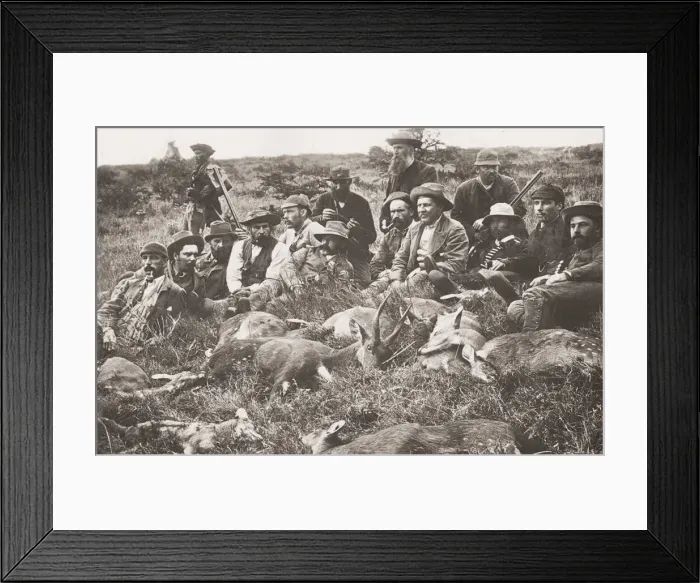 Framed Print : Vintage 19th century photograph: hunters with their catch of deer, South Africa Framed Print : Vintage 19th century photograph: hunters with their catch of deer, South Africa
