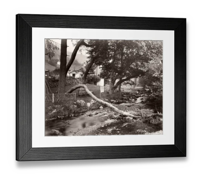 Framed Print : Vintage 19th century photograph - United Kingdom - Llyfnant river valley, Wales Framed Print : Vintage 19th century photograph - United Kingdom - Llyfnant river valley, Wales
