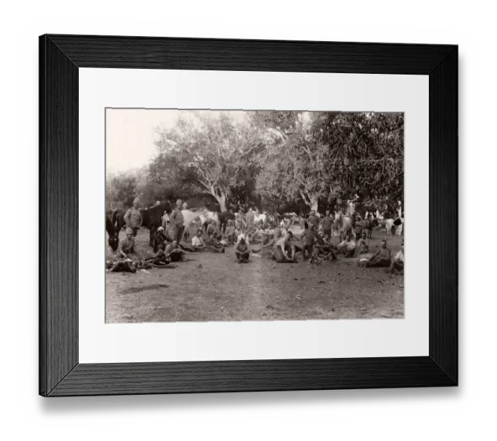 Framed Print : British soldiers cealning tack, cavalry regiment, India, c. 1880 s Framed Print : British soldiers cealning tack, cavalry regiment, India, c. 1880 s