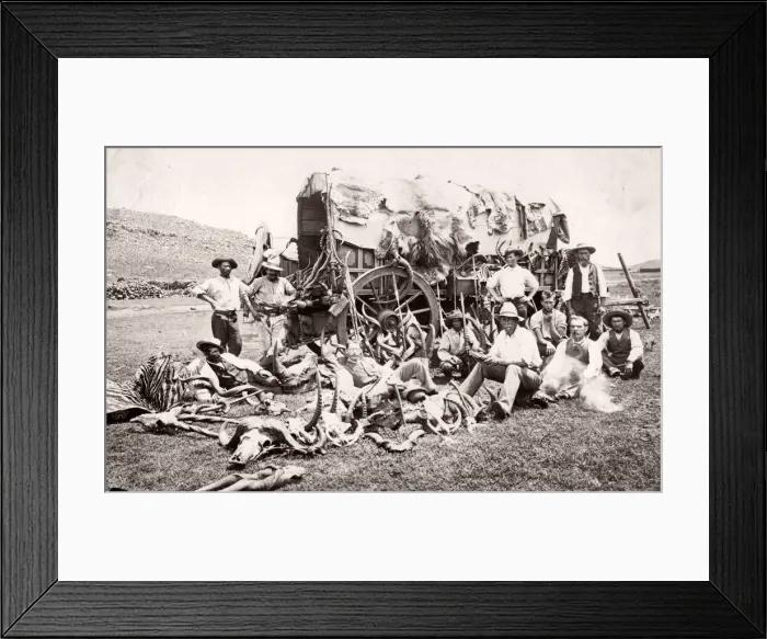 Framed Print : Big game hunters with guns and trophies, South Africa, c. 1890 s Framed Print : Big game hunters with guns and trophies, South Africa, c. 1890 s