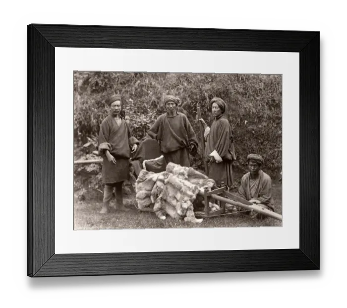 Framed Print : Northern India, porters and fur lined carrying chair, c. 1880 s Framed Print : Northern India, porters and fur lined carrying chair, c. 1880 s