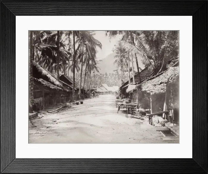 Framed Print : Vintage 19th century photograph: street scene, Ceylon, Sri Lanka Framed Print : Vintage 19th century photograph: street scene, Ceylon, Sri Lanka
