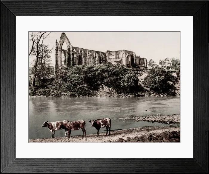 Framed Print : Vintage 19th century / 1900 photograph: Bolton Abbey from the river Framed Print : Vintage 19th century / 1900 photograph: Bolton Abbey from the river