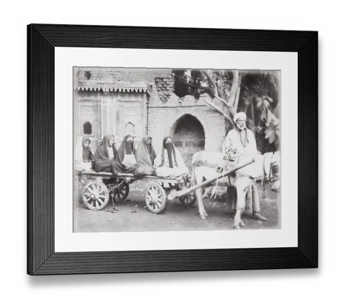 Framed Print : Late 19th century photograph: Egyptian women on a donkey cart, Cairo, Egypt Framed Print : Late 19th century photograph: Egyptian women on a donkey cart, Cairo, Egypt