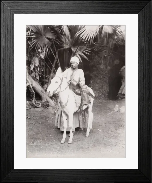 Framed Print : Late 19th century photograph: Egyptian man and his donkey, Egypt Framed Print : Late 19th century photograph: Egyptian man and his donkey, Egypt