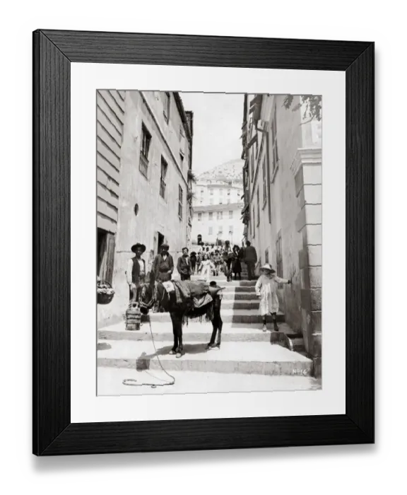 Framed Print : Donkey in Gibraltar street, c. 1890 s Framed Print : Donkey in Gibraltar street, c. 1890 s