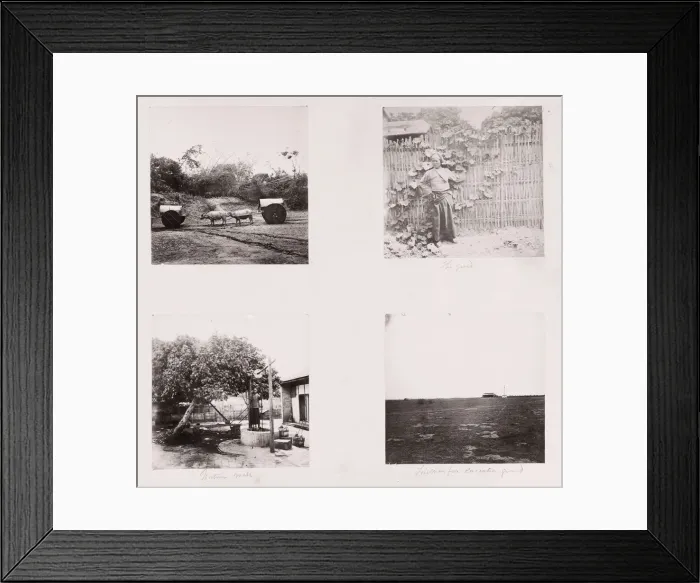 Framed Print : John Thomson (14 June 1837 - 29 September 1921) Scottish photographer, active in China c Framed Print : John Thomson (14 June 1837 - 29 September 1921) Scottish photographer, active in China c