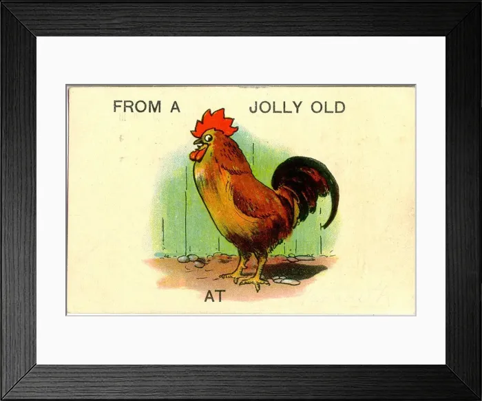 Framed Print : Comic postcard, From a jolly old cock Date: 20th century Framed Print : Comic postcard, From a jolly old cock Date: 20th century