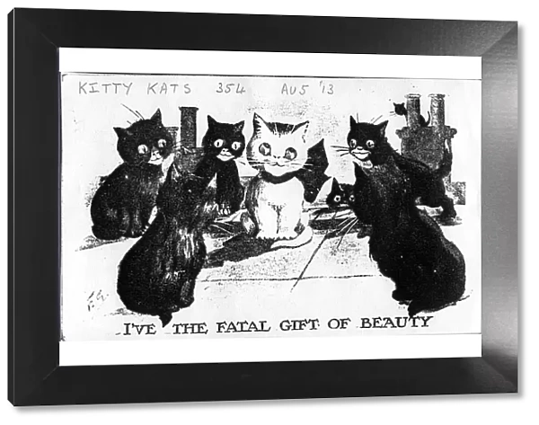 Comic postcard, Cats on a roof - I ve the fatal gift of beauty Date: 1913