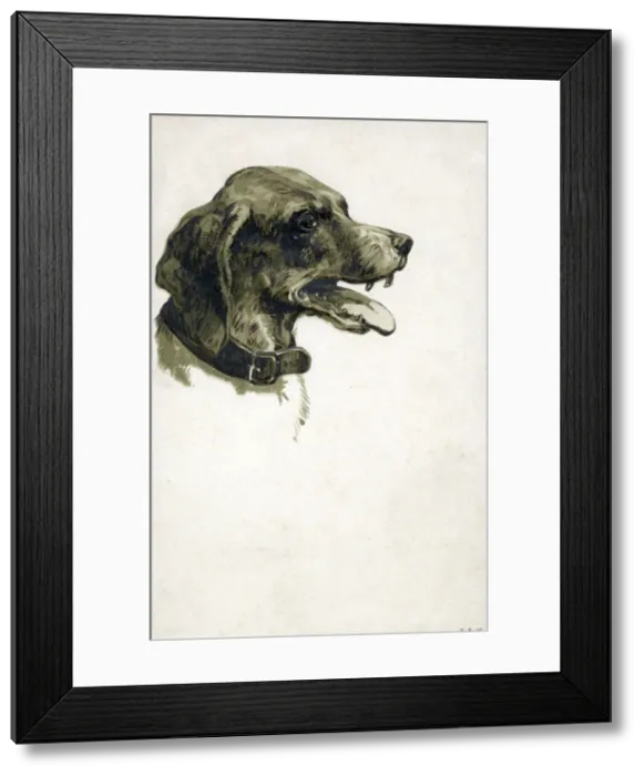 Framed Print : A panting dog of indeterminate breed, mouth open to reveal some pretty impressive Framed Print : A panting dog of indeterminate breed, mouth open to reveal some pretty impressive