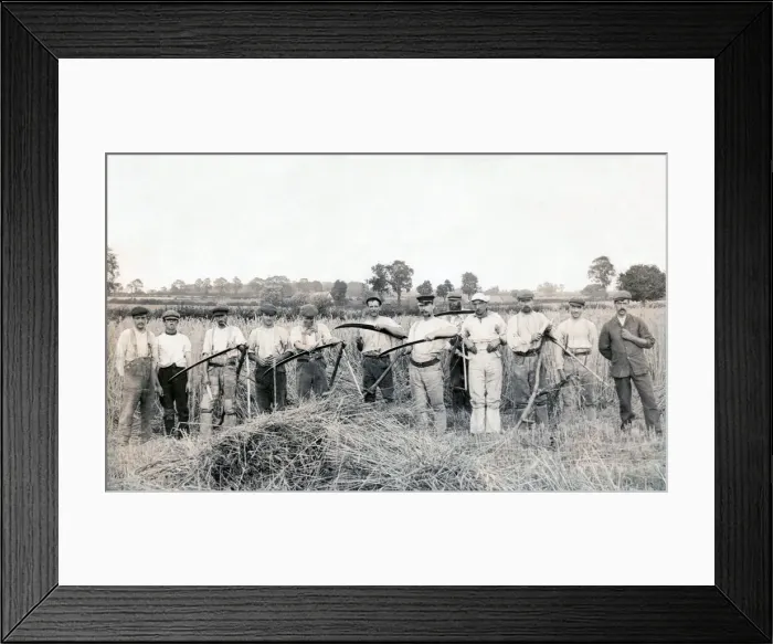 Framed Print : Twelve men went to mow Framed Print : Twelve men went to mow