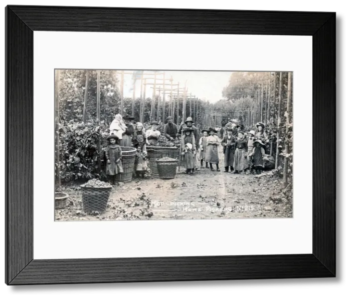 Framed Print : Group of London Hop Pickers in Kent Framed Print : Group of London Hop Pickers in Kent