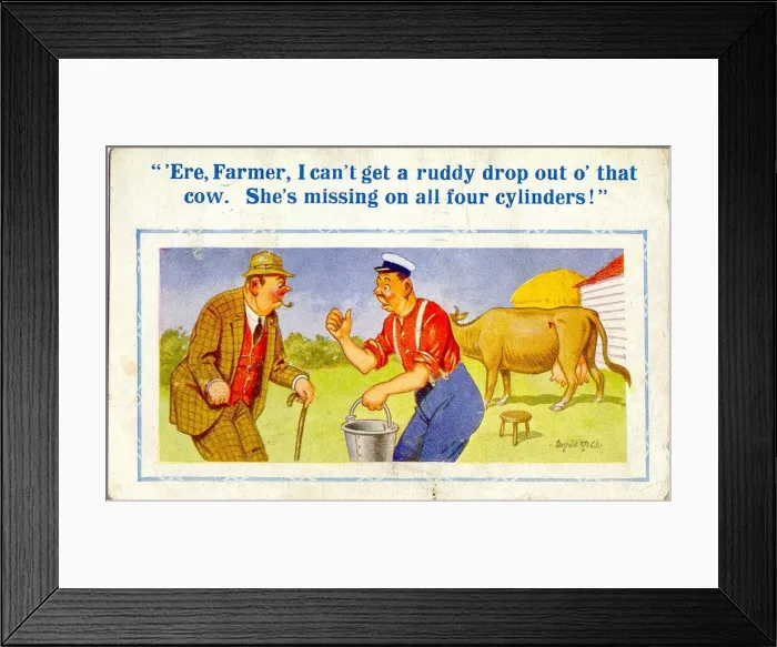 Framed Print : Comic postcard, Difficulty milking a cow Date: 20th century Framed Print : Comic postcard, Difficulty milking a cow Date: 20th century