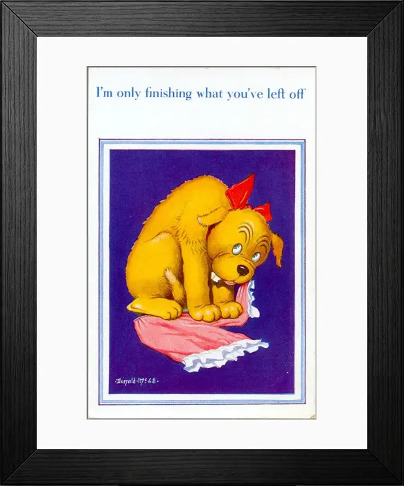 Framed Print : Comic postcard, Dog with pair of knickers Date: 20th century Framed Print : Comic postcard, Dog with pair of knickers Date: 20th century