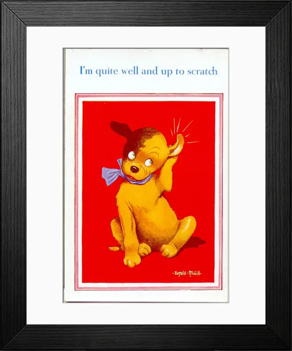 Framed Print : Comic postcard, Dog feeling up to scratch Date: 20th century Framed Print : Comic postcard, Dog feeling up to scratch Date: 20th century