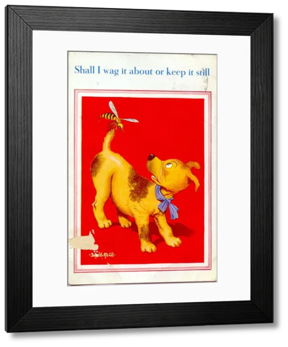Framed Print : Comic postcard, Dog with a wasp on its tail Date: 20th century Framed Print : Comic postcard, Dog with a wasp on its tail Date: 20th century