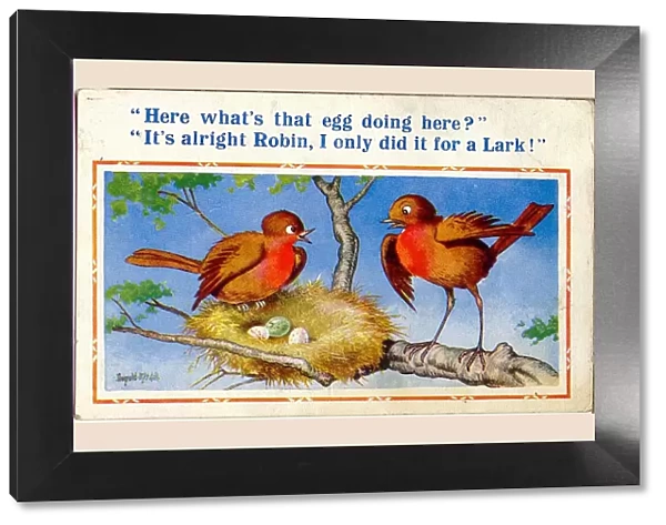 Comic postcard, Birds with nest of eggs