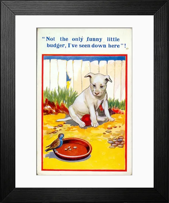 Framed Print : Comic postcard, Dog and bird in the garden Framed Print : Comic postcard, Dog and bird in the garden