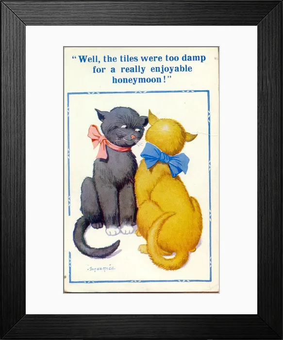 Framed Print : Comic postcard, Two cats discuss their honeymoon Date: 20th century Framed Print : Comic postcard, Two cats discuss their honeymoon Date: 20th century