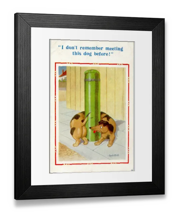Framed Print : Comic postcard, Dachshund wrapped round post Date: 20th century Framed Print : Comic postcard, Dachshund wrapped round post Date: 20th century