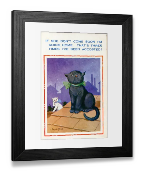 Framed Print : Comic postcard, Two cats on a roof at night Date: 20th century Framed Print : Comic postcard, Two cats on a roof at night Date: 20th century