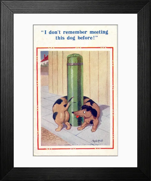 Framed Print : Comic postcard, Dachshund wrapped round post Date: 20th century Framed Print : Comic postcard, Dachshund wrapped round post Date: 20th century