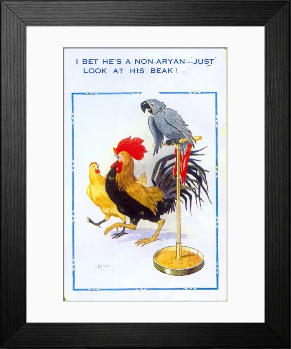 Framed Print : Comic postcard, Cockerel, hen and parrot Framed Print : Comic postcard, Cockerel, hen and parrot